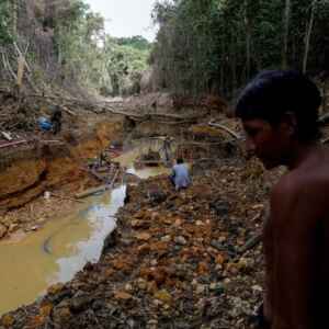 Governo Federal Presta Assistência aos Yanomami e Retira Garimpeiros Ilegais