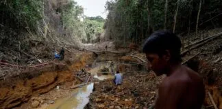 Governo Federal Presta Assistência aos Yanomami e Retira Garimpeiros Ilegais Governo Federal Presta Assistência aos Yanomami e Retira Garimpeiros Ilegais