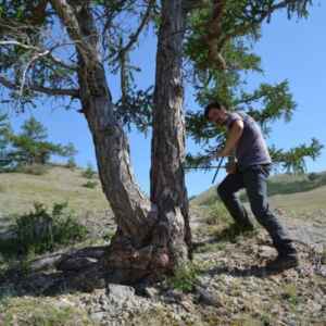 Anéis de árvores revelam que o verão mais quente no hemisfério norte, em 2.000 anos, foi em 2023 Professor Ulf Büntgen, coautor do estudo, recomenda uma análise sobre as alterações climáticas causadas pelo homem, chamadas de "antropogênicas
