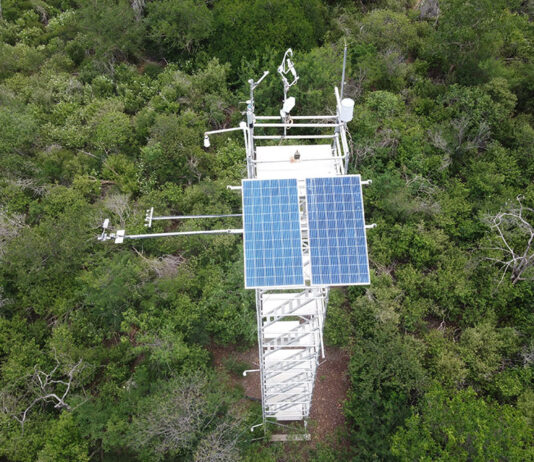 Torres de fluxo, geram dados que indicam a Caatinga entre os sumidouros mais eficientes de carbono, entre as florestas secas do mundo
