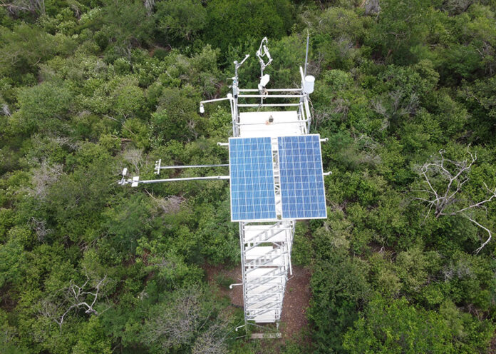 Torres de fluxo, geram dados que indicam a Caatinga entre os sumidouros mais eficientes de carbono, entre as florestas secas do mundo Torres de fluxo, geram dados que indicam a Caatinga entre os sumidouros mais eficientes de carbono, entre as florestas secas do mundo