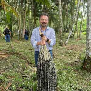 Investir nos ribeirinhos é investir no futuro do açaí
