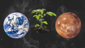 space-crops-300x169 Por que um novo método de cultivo de alimentos em Marte é mais importante na Terra