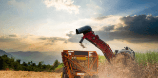 Entre julho de 2023 e junho de 2024, os produtos do agronegócio representaram 48,6% de todas as exportações brasileiras