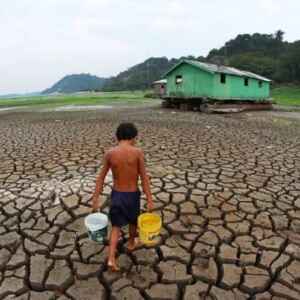 Centro Gestor Emite Alerta de Seca Severa na Amazônia para Este Ano seca