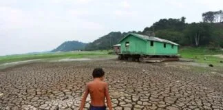 Centro Gestor Emite Alerta de Seca Severa na Amazônia para Este Ano seca