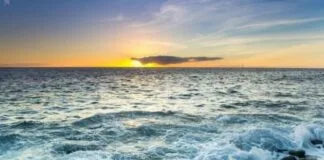 Aumento da Acidez no Oceano Atlântico Ameaça Ecossistemas Marinhos Brasileiros Aumento da Acidez no Oceano Atlântico Ameaça Ecossistemas Marinhos Brasileiros
