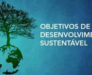 Apenas 17% dos Objetivos de Desenvolvimento Sustentável Apresentam Avanços sustentável