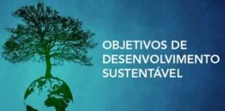 Apenas 17% dos Objetivos de Desenvolvimento Sustentável Apresentam Avanços sustentável