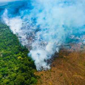 Desmatamento na Amazônia Foi Tema de Audiência na Câmara dos Deputados