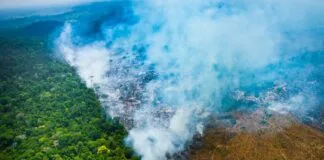 Desmatamento na Amazônia Foi Tema de Audiência na Câmara dos Deputados Desmatamento na Amazônia Foi Tema de Audiência na Câmara dos Deputados