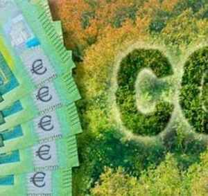 ONGs Internacionais Pedem Fim dos Créditos de Carbono