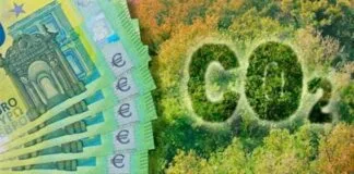 ONGs Internacionais Pedem Fim dos Créditos de Carbono ONGs Internacionais Pedem Fim dos Créditos de Carbono