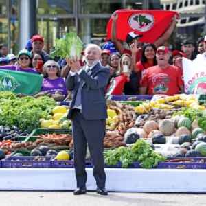 Agricultura Familiar Receberá R$ 76 Bilhões para Produção de Alimentos agricultura