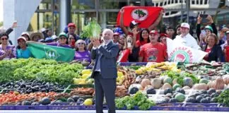 Agricultura Familiar Receberá R$ 76 Bilhões para Produção de Alimentos agricultura