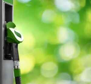 G20 Mostra Interesse na Agenda Brasileira para Biocombustíveis