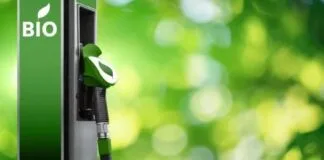 G20 Mostra Interesse na Agenda Brasileira para Biocombustíveis G20 Mostra Interesse na Agenda Brasileira para Biocombustíveis