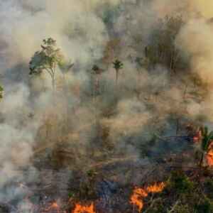 Combater o desmatamento e o fogo para evitar o caos na Amazônia
