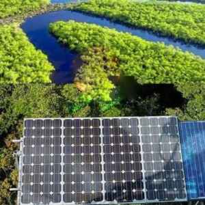 Banco da Amazônia promove energia solar com linhas de crédito