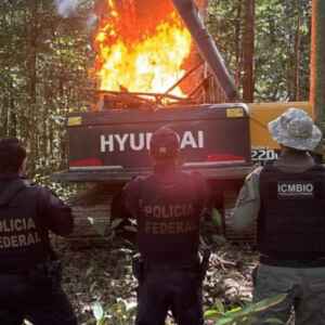 PF e ICMBio combatem o garimpo ilegal e o desmatamento no Pará