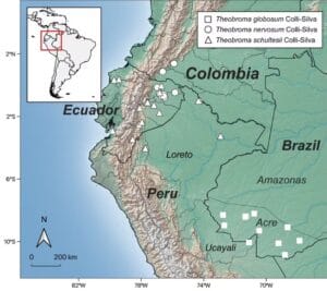 Captura de tela 2024 07 08 123740