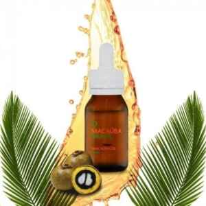 Palmeira da Amazônia promete gerar seis vezes mais óleo que a soja Amazônia