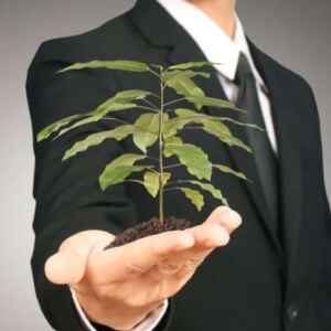 Empregos verdes oferecem novas oportunidades para os jovens da Amazônia Amazônia