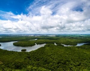 Amazônia