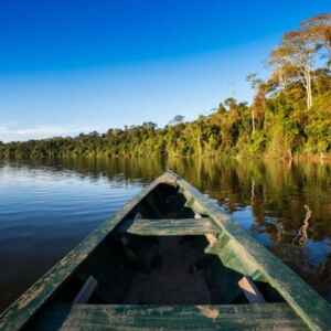 Lançamento do Museu das Amazônias em Belém museu