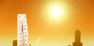 Cientistas Prevêem 2024 como o Ano Mais Quente já Registrado quente