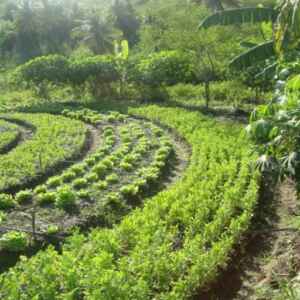 Ciência Contribui para Criação da Lei de Adaptação às Mudanças Climáticas