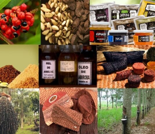 Captura De Tela 2024 07 10 100051