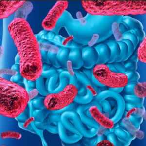 Melhor Maneira de Diagnosticar Autismo Pode Estar no Intestino autismo