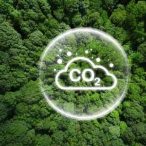 Novo Estudo Propõe Metodologia para Calcular Carbono Sequestrado em Florestas Tropicais