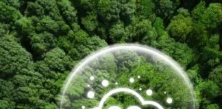 Novo Estudo Propõe Metodologia para Calcular Carbono Sequestrado em Florestas Tropicais Novo Estudo Propõe Metodologia para Calcular Carbono Sequestrado em Florestas Tropicais