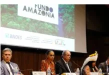 Instituto Clima e Sociedade destina R$ 2,5 milhões para pesquisas em economia verde BNDES