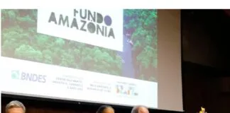 Instituto Clima e Sociedade destina R$ 2,5 milhões para pesquisas em economia verde BNDES