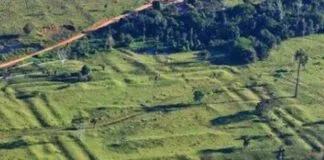 Cientistas e Comunidades da Amazônia Unem Esforços para Preservar Sítios Arqueológicos Cientistas e Comunidades da Amazônia Unem Esforços para Preservar Sítios Arqueológicos