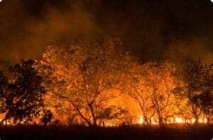 Captura de tela 2024 07 12 124700