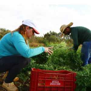 Novo Pronaf se Alinha a Agroecologia Visando a Agricultura Sustentável Pronaf