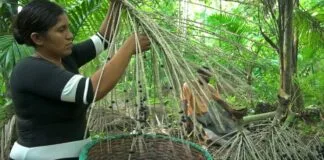 Belém Promove Conexão entre Empreendedores da Bioeconomia da Amazônia e Investidores Belém Promove Conexão entre Empreendedores da Bioeconomia da Amazônia e Investidores