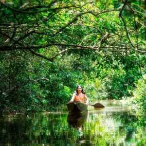 Povos da Floresta Assumem Protagonismo em Rede de Conexão na Amazônia