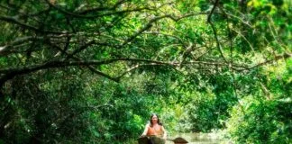 Povos da Floresta Assumem Protagonismo em Rede de Conexão na Amazônia Povos da Floresta Assumem Protagonismo em Rede de Conexão na Amazônia