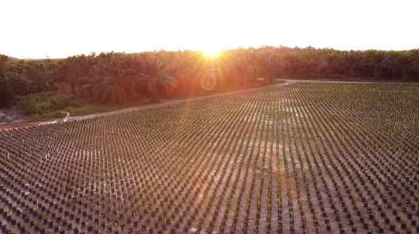 Captura de tela 2024 07 15 152924