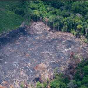 Bancada Ruralista Pressiona pelo Fim da Moratória da Soja na Amazônia
