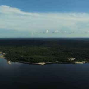 Dia de Proteção às Florestas Destaca a Importância da Preservação Ambiental