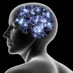 Descoberta a Origem Neural da Criatividade neural