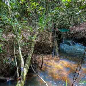 Estudo Revela Impacto Negativo das Mudanças Climáticas na Agricultura