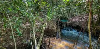 Estudo Revela Impacto Negativo das Mudanças Climáticas na Agricultura Estudo Revela Impacto Negativo das Mudanças Climáticas na Agricultura