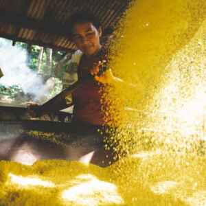 Programa Incentivará Empreendedoras Negras e Indígenas no Norte e Nordeste com R$ 10 Milhões